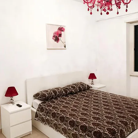 Asher's House Colosseum *