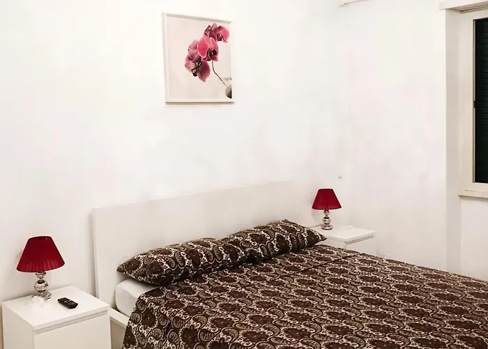 Asher's House Colosseum *